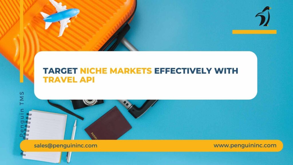 travel API niche market