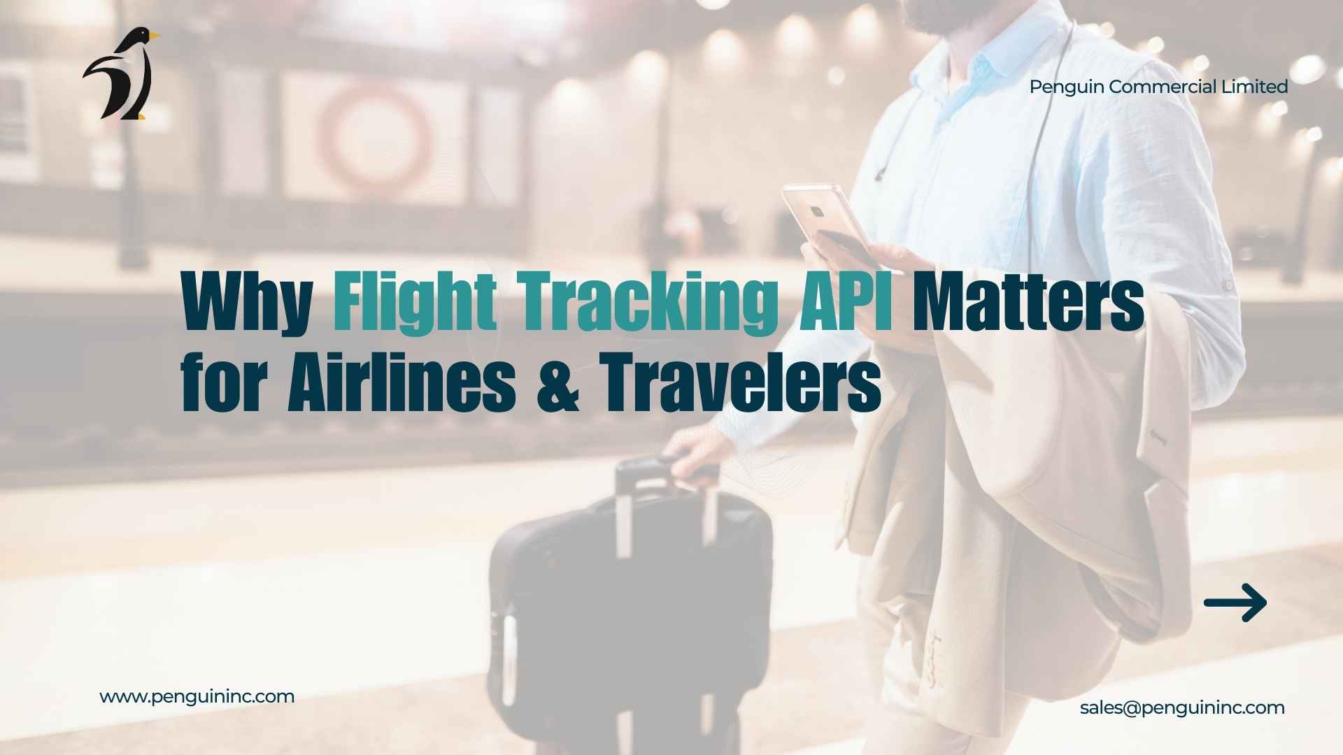 How Flight Tracking APIs in Real-Time Are Changing Air Travel